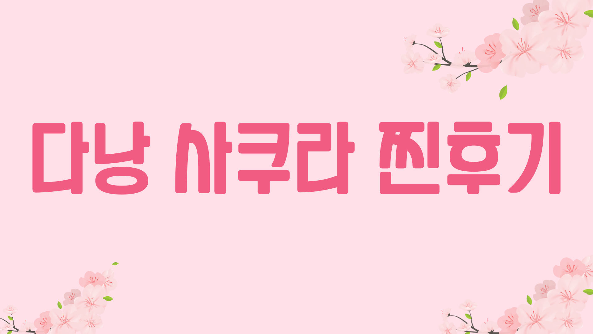 다낭 사쿠라 찐후기